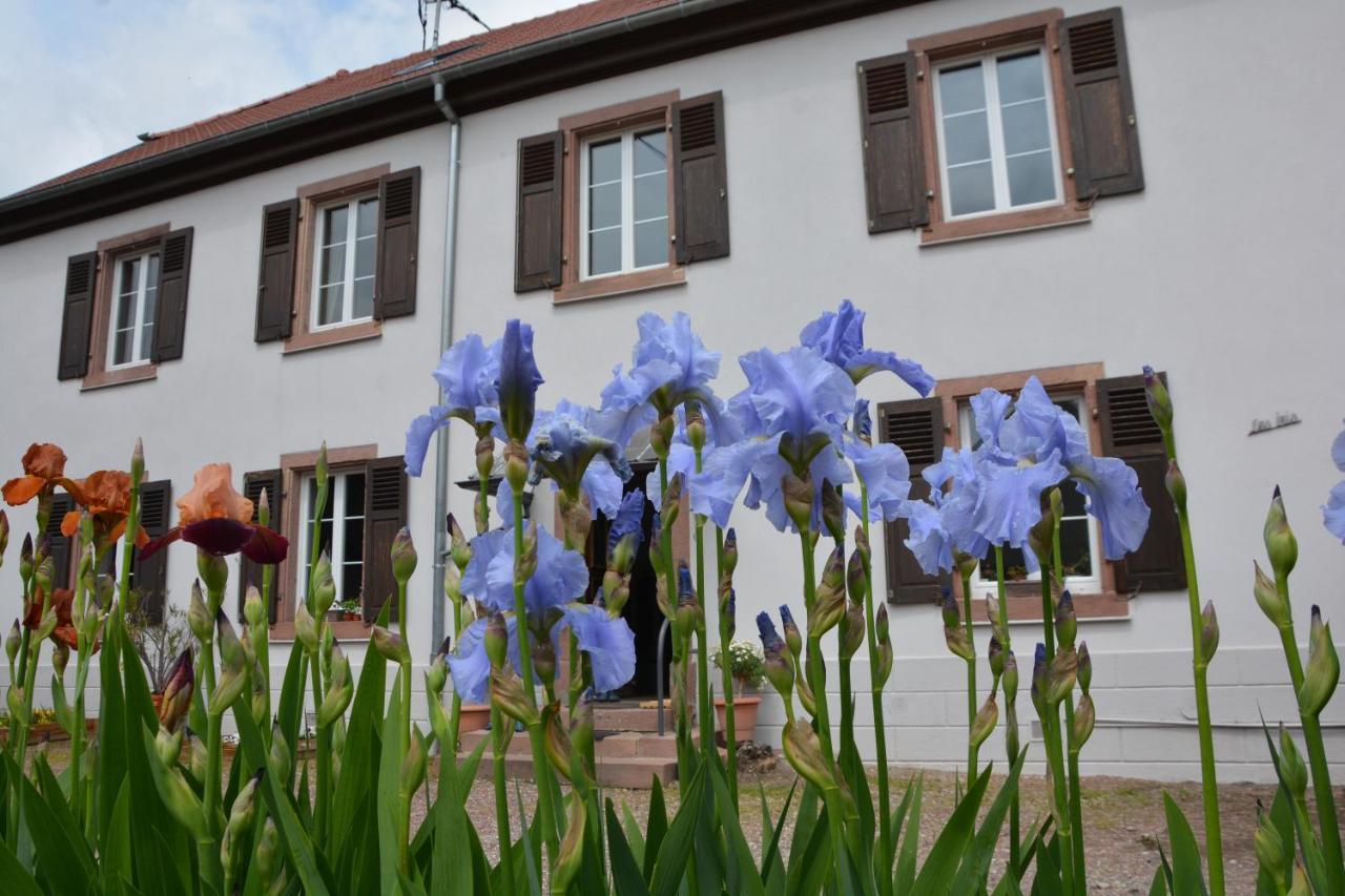 Ferme Les Iris Apartment Issenheim Ngoại thất bức ảnh